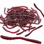 Senven Red Worms: 100 Leurres de Pêche Biomimétiques en Silicone Souple, la Tentation Ultime pour les Poissons!