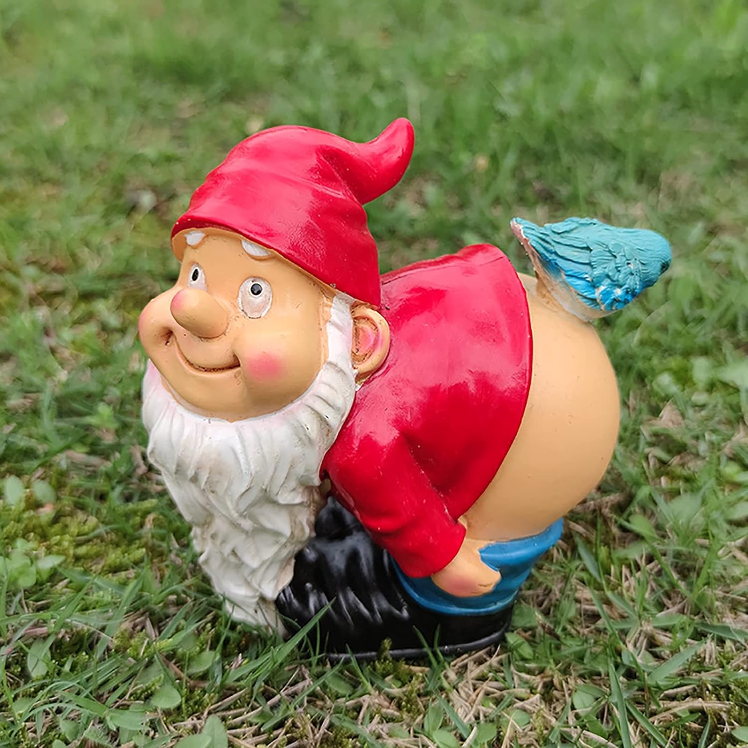 Gnome des Jardins : Décor Drôle et Décalé pour Votre Extérieur !