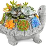 Turtle Planter – Une Touche d’Originalité dans Votre Jardin! » 🐢